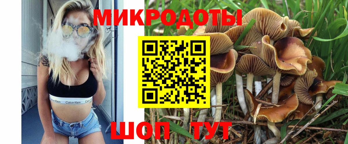 Псилоцибиновые грибы MAGIC MUSHROOMS  Псилоцибиновые грибы мухоморы  магазин продажи наркотиков  Бузулук  Вход с VPN 
