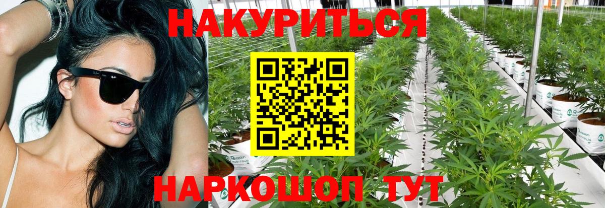 Бошки марихуана MAZAR  Вход с VPN  Марихуана конопля  Шишки марихуана план  Бузулук 